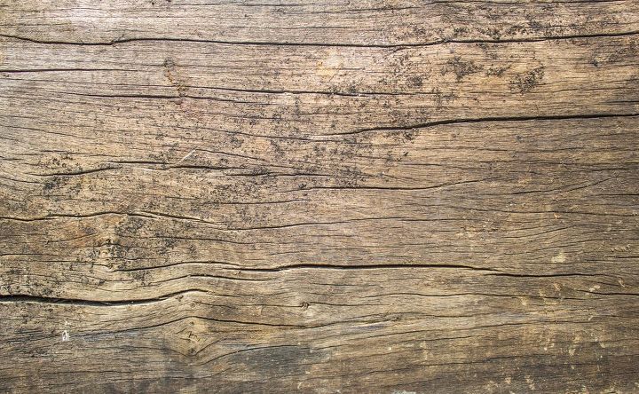 Best Ways For Removing Mold From Wood With Vinegar Like A Pro