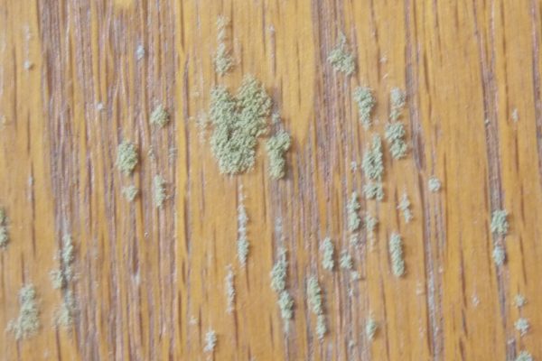 removing mold from wood with vinegar