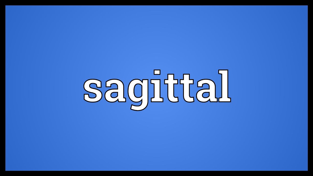 sagittal word