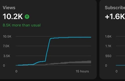 Utilize the trending hashtags 